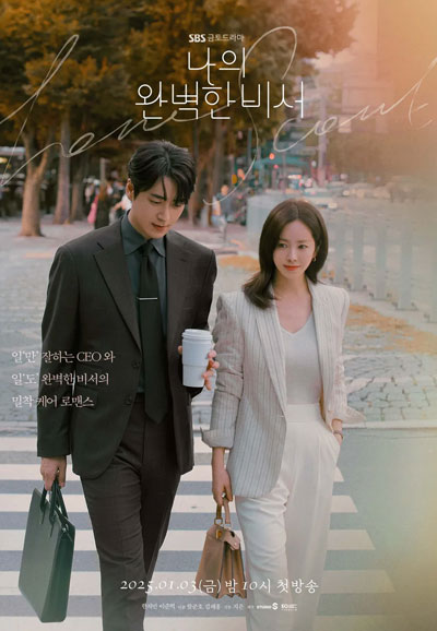 나의 완벽한 비서 (2025)